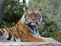 ZOO-Viden 24 srpen 2014 045.JPG